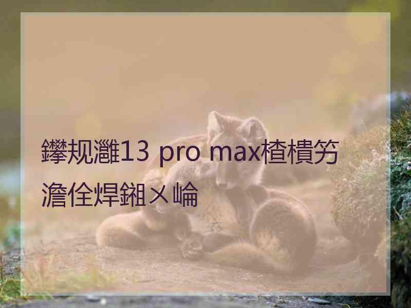 鑻规灉13 pro max楂樻竻澹佺焊鎺ㄨ崘