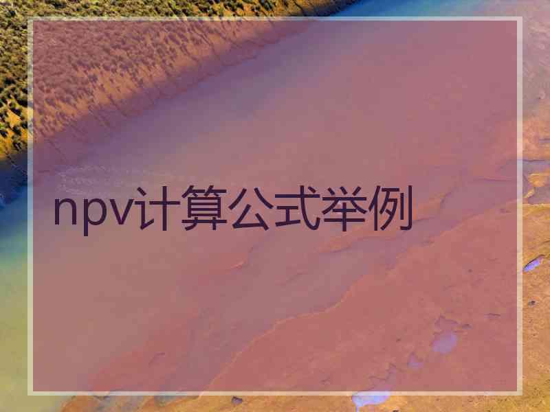 npv计算公式举例