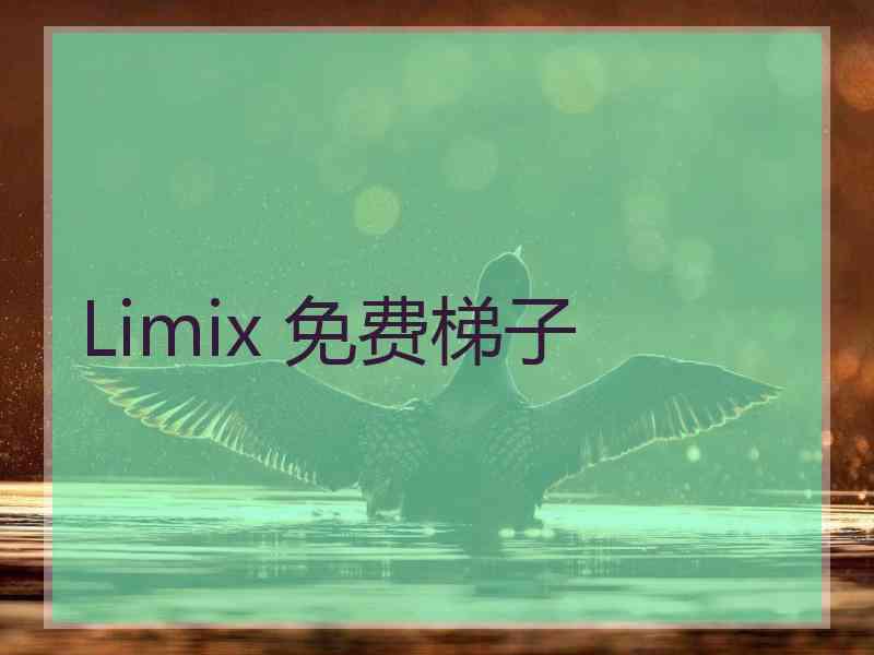 Limix 免费梯子