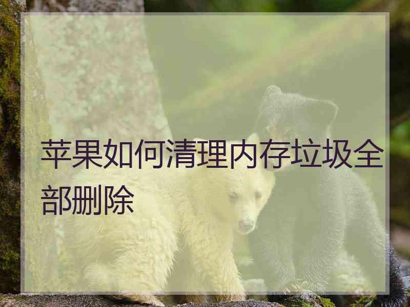 苹果如何清理内存垃圾全部删除