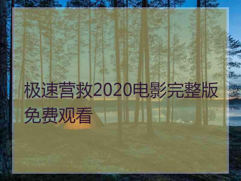 极速营救2020电影完整版免费观看