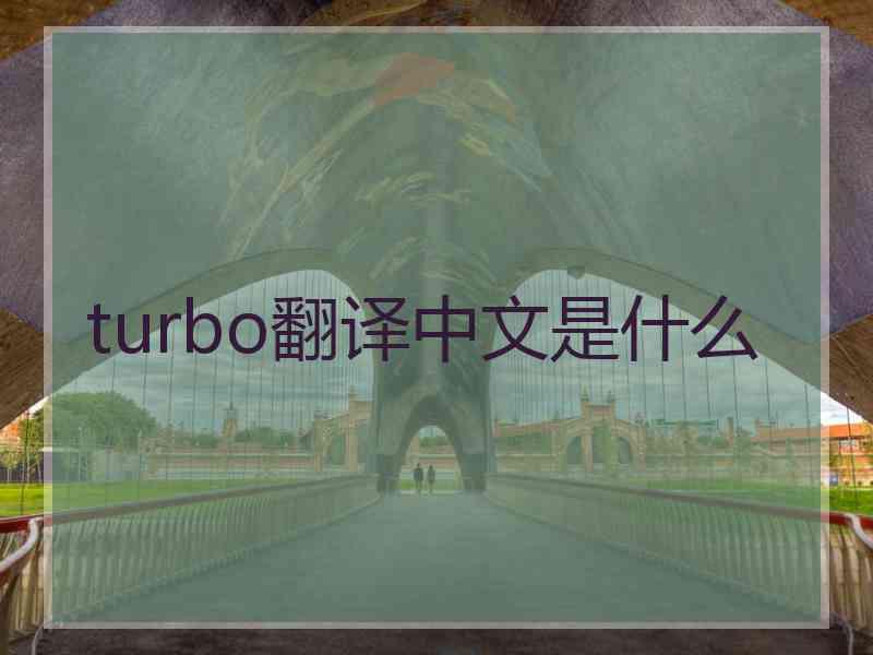 turbo翻译中文是什么