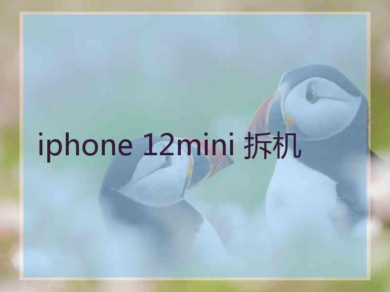 iphone 12mini 拆机