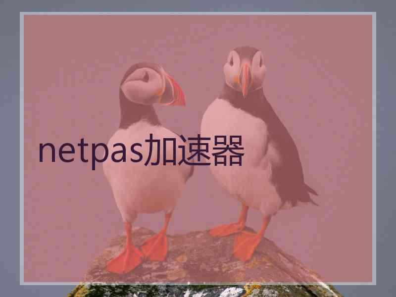 netpas加速器