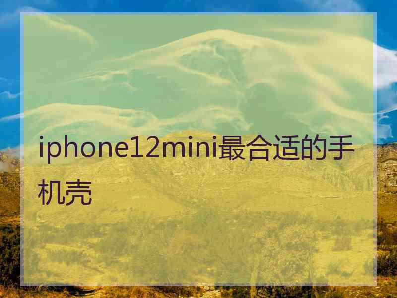 iphone12mini最合适的手机壳