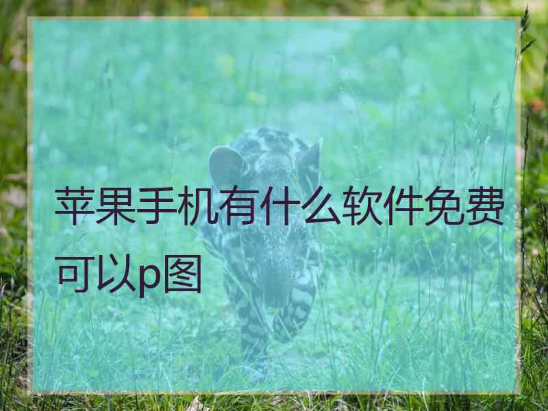 苹果手机有什么软件免费可以p图