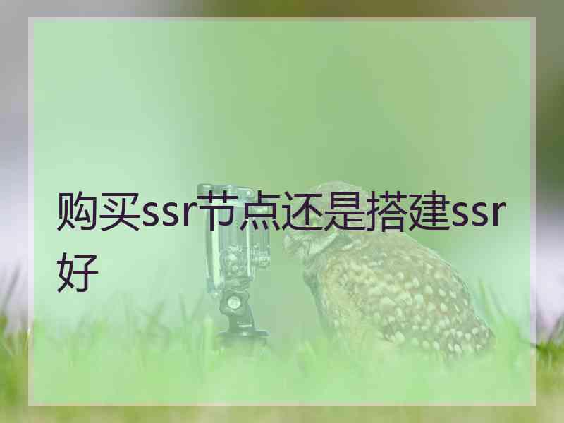 购买ssr节点还是搭建ssr好