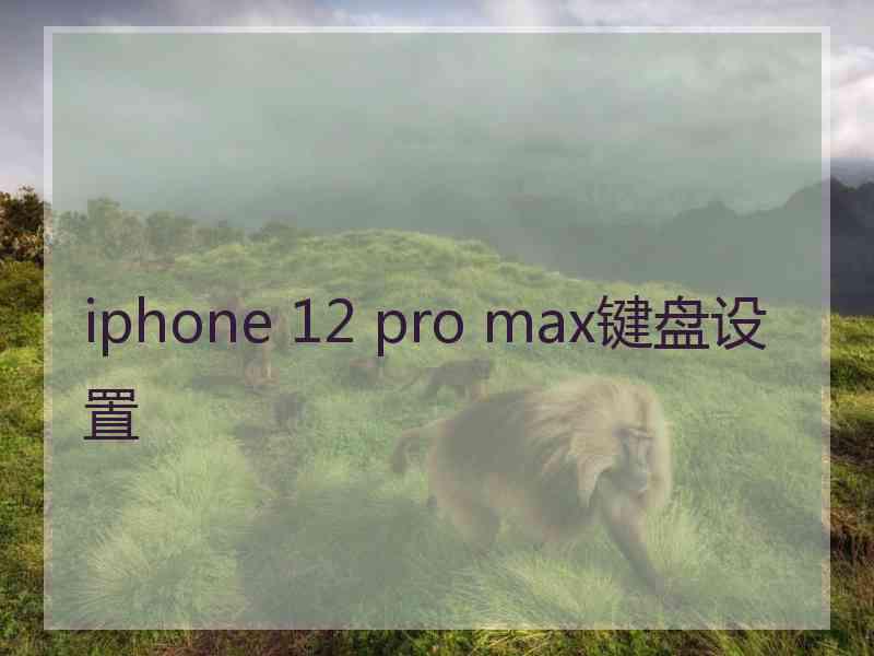 iphone 12 pro max键盘设置