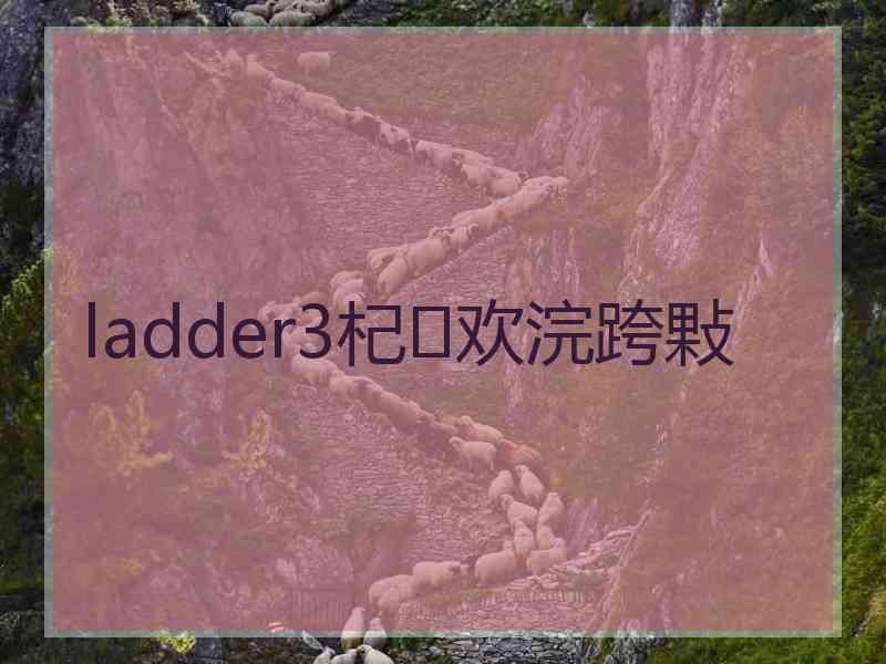 ladder3杞欢浣跨敤