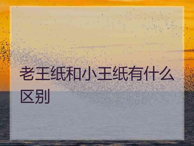 老王纸和小王纸有什么区别