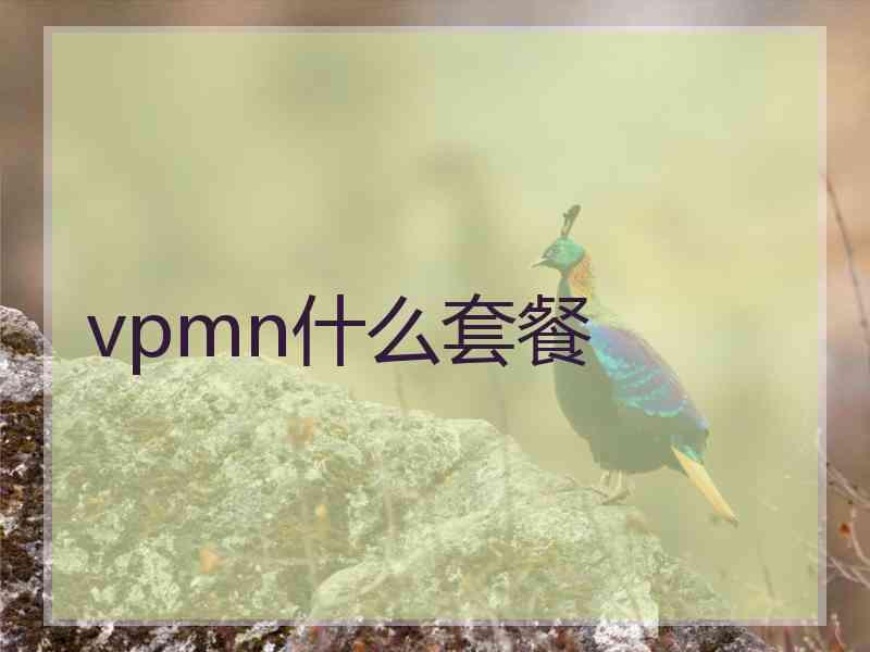 vpmn什么套餐