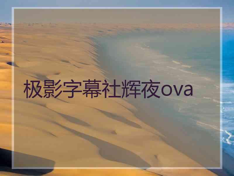 极影字幕社辉夜ova