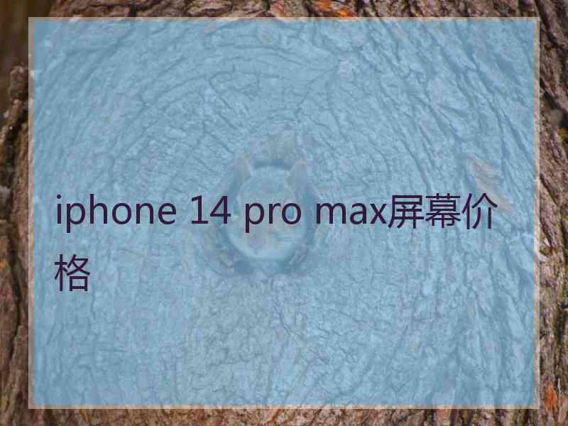 iphone 14 pro max屏幕价格