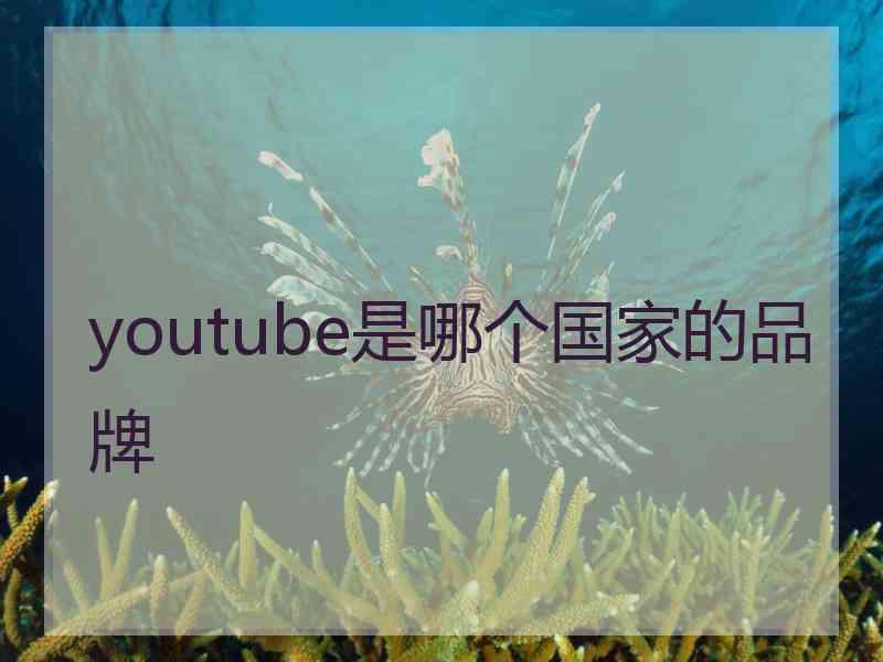 youtube是哪个国家的品牌