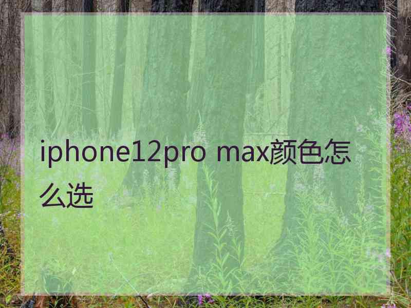 iphone12pro max颜色怎么选