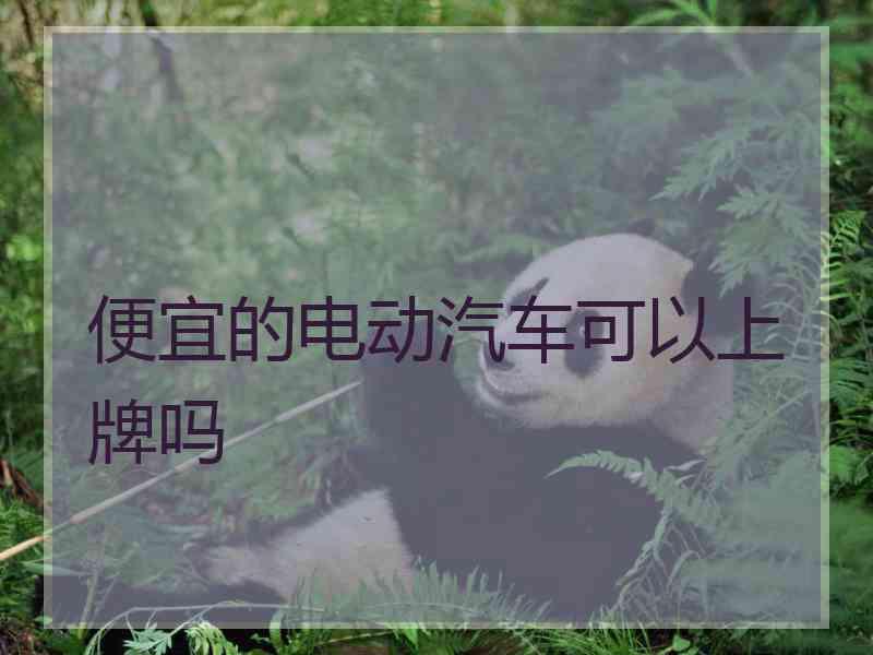 便宜的电动汽车可以上牌吗