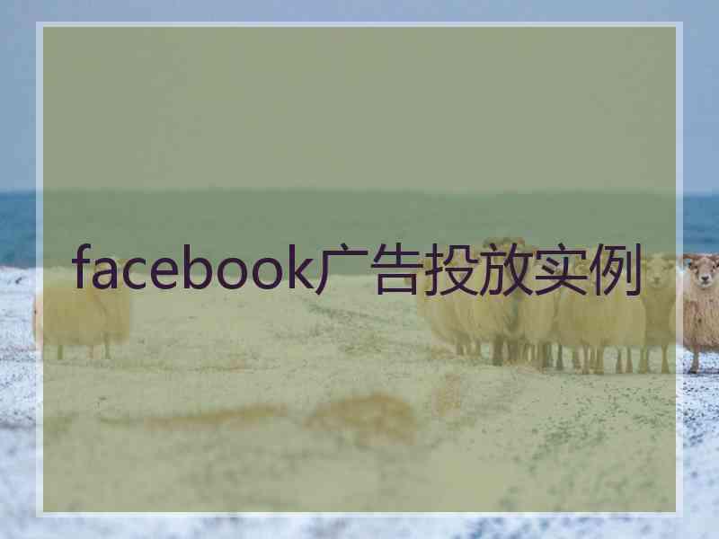 facebook广告投放实例