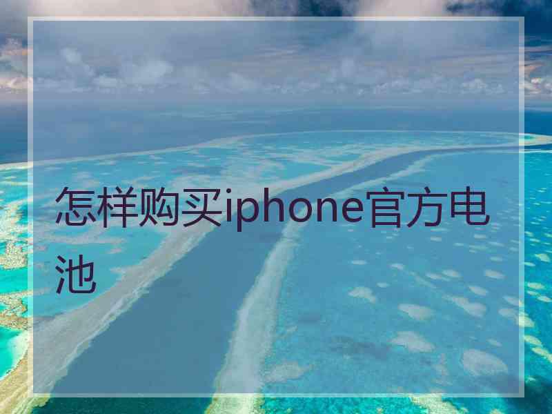 怎样购买iphone官方电池