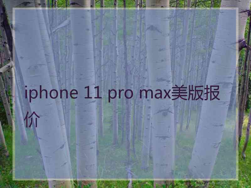 iphone 11 pro max美版报价