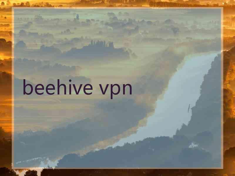 beehive vpn