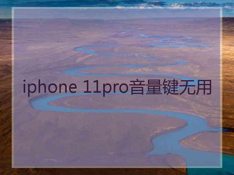 iphone 11pro音量键无用