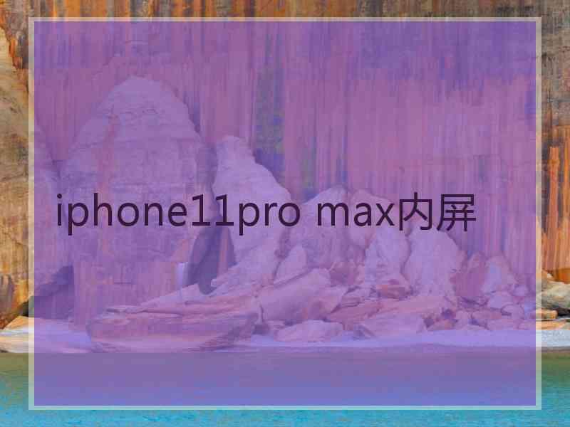 iphone11pro max内屏