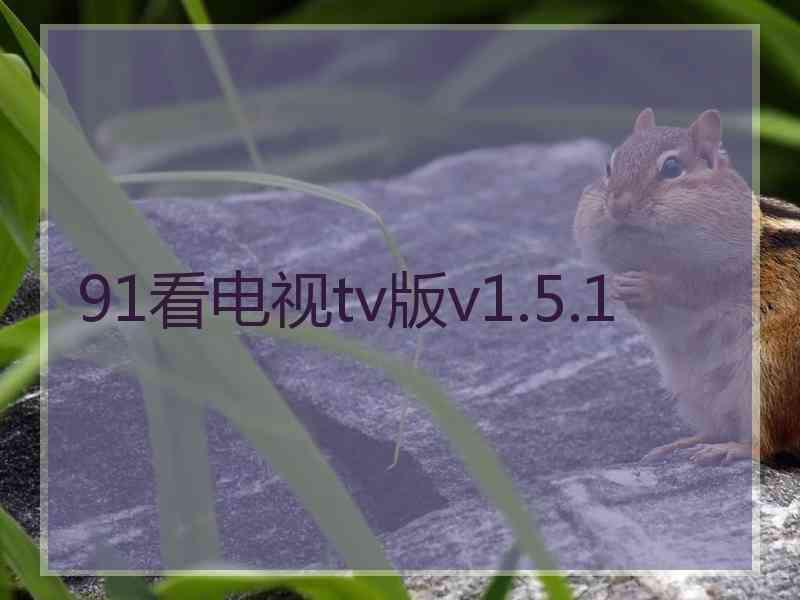 91看电视tv版v1.5.1