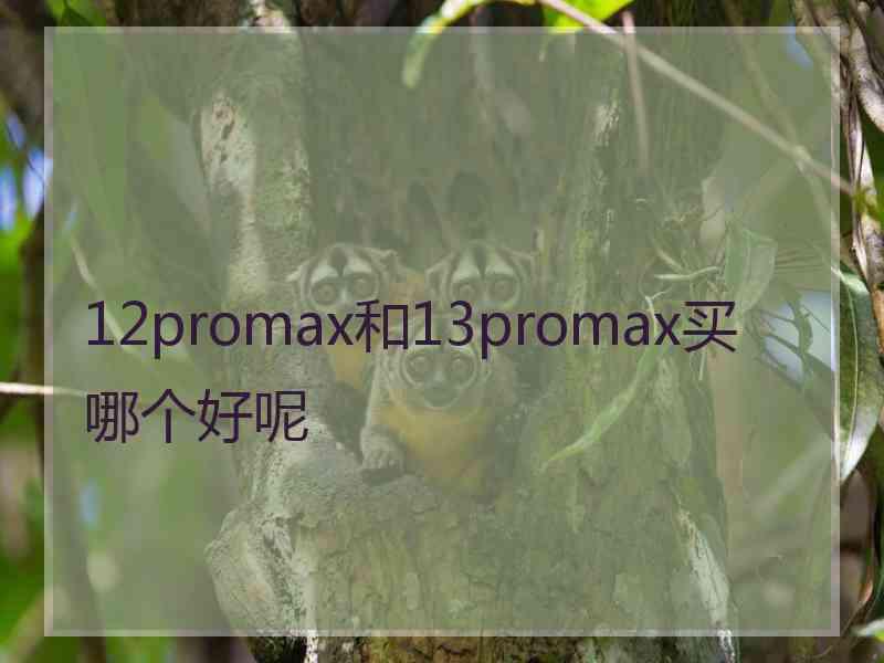 12promax和13promax买哪个好呢