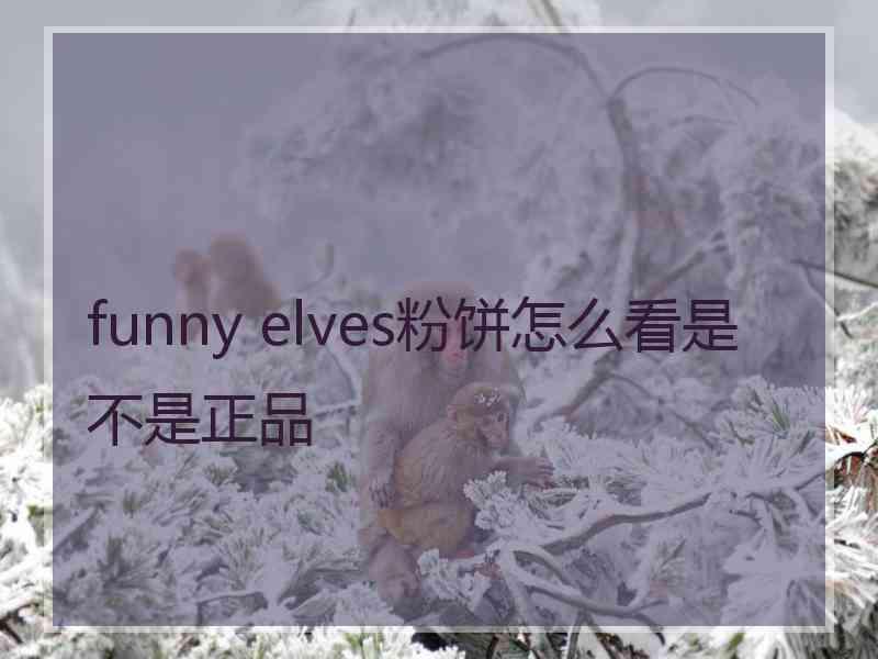 funny elves粉饼怎么看是不是正品