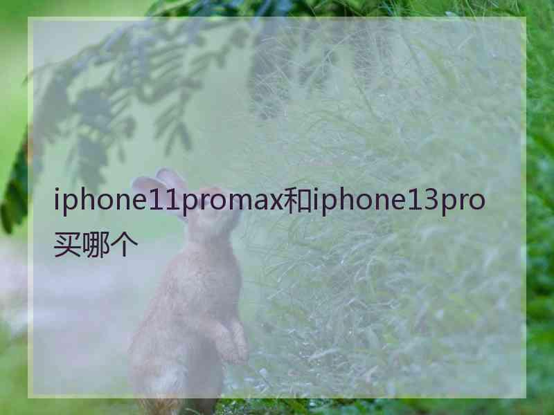 iphone11promax和iphone13pro买哪个