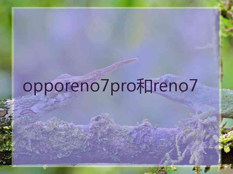 opporeno7pro和reno7