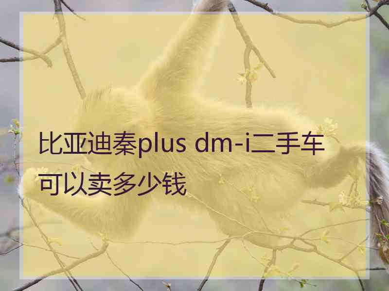 比亚迪秦plus dm-i二手车可以卖多少钱