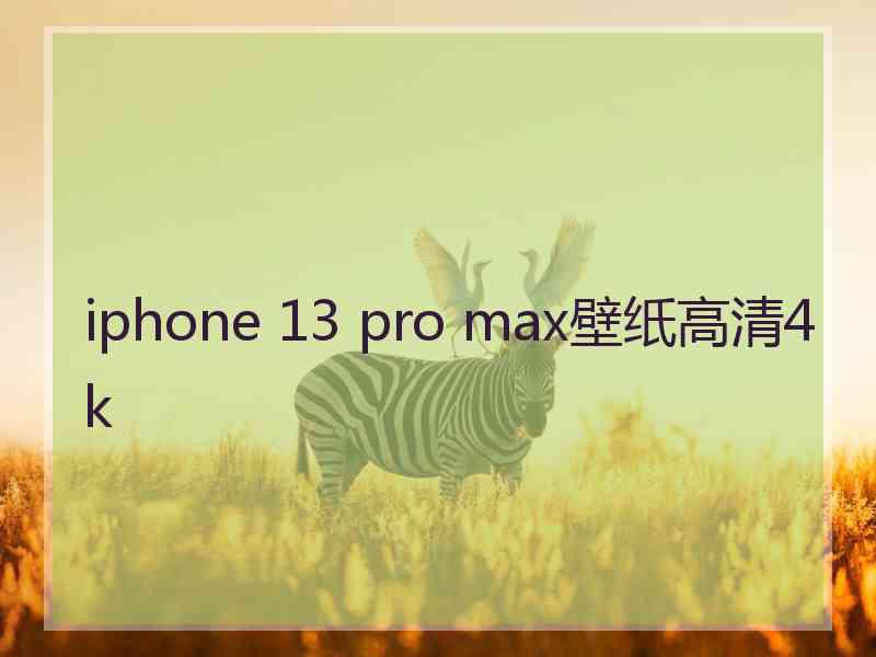 iphone 13 pro max壁纸高清4k