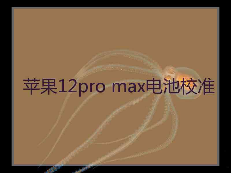 苹果12pro max电池校准