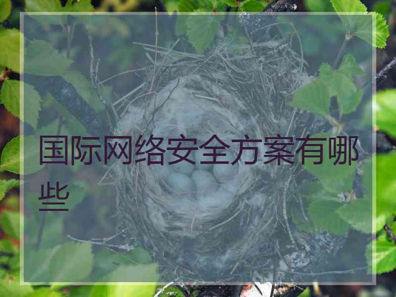 国际网络安全方案有哪些