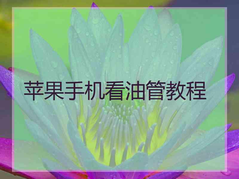 苹果手机看油管教程