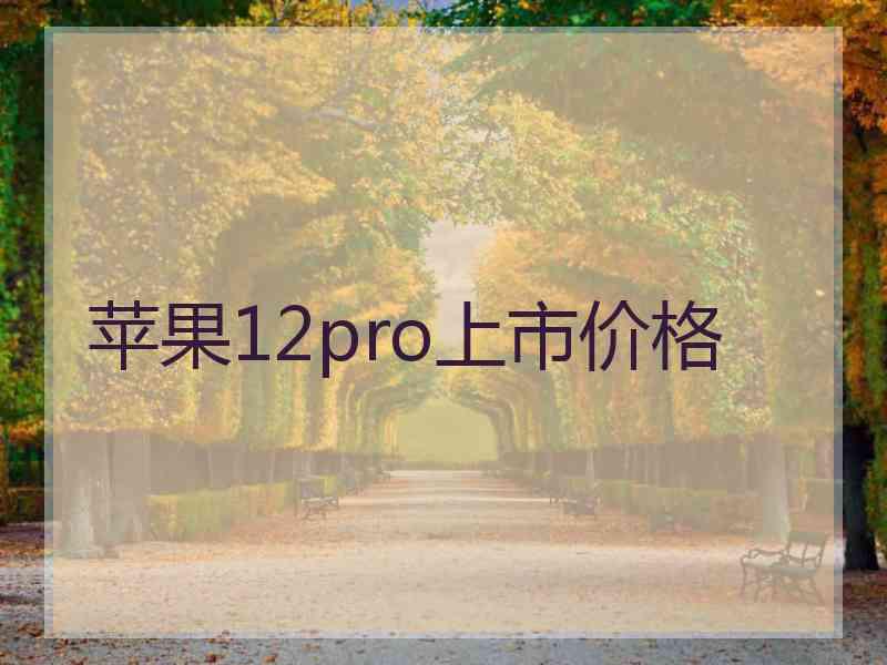 苹果12pro上市价格