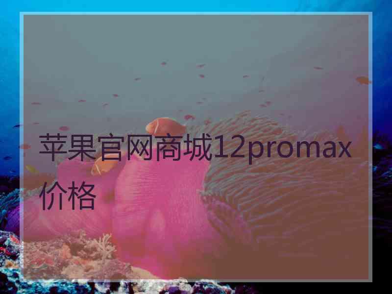 苹果官网商城12promax价格