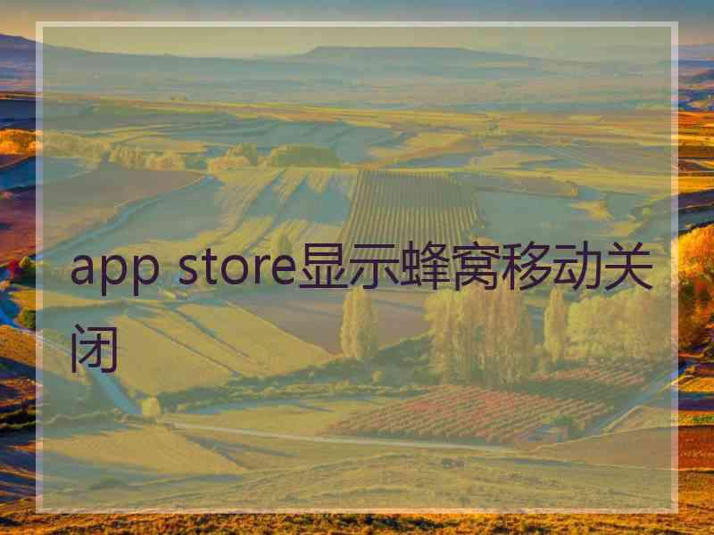 app store显示蜂窝移动关闭