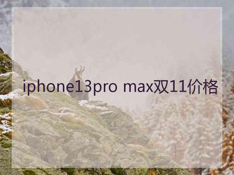 iphone13pro max双11价格