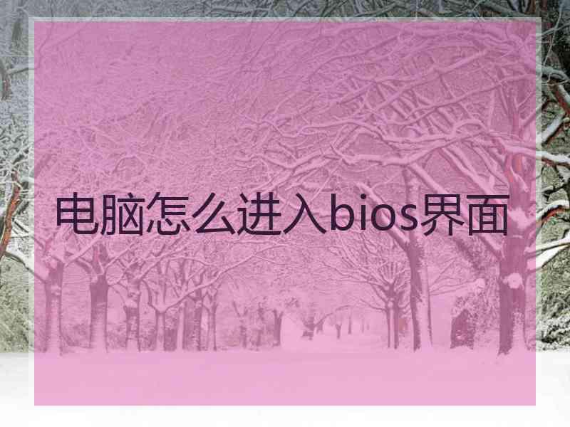 电脑怎么进入bios界面