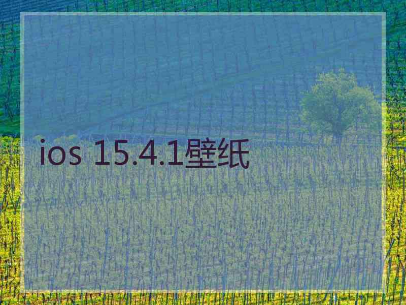 ios 15.4.1壁纸