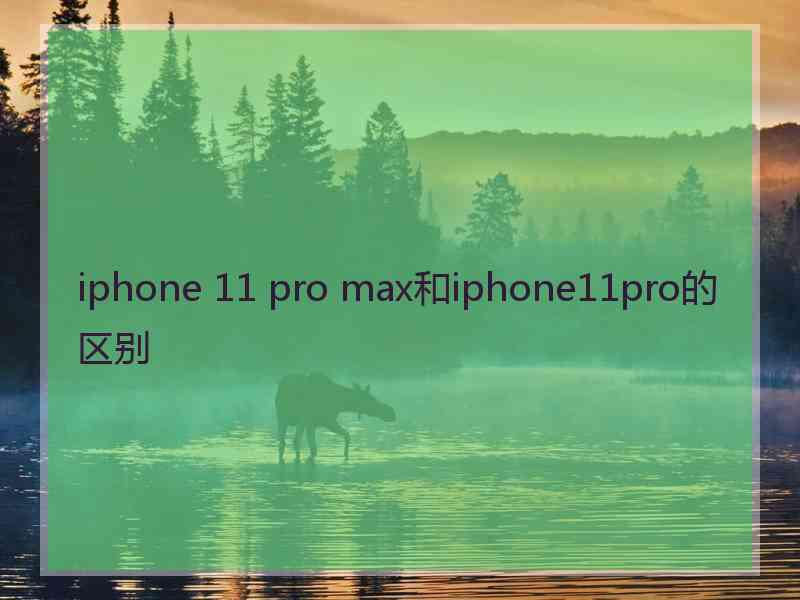 iphone 11 pro max和iphone11pro的区别