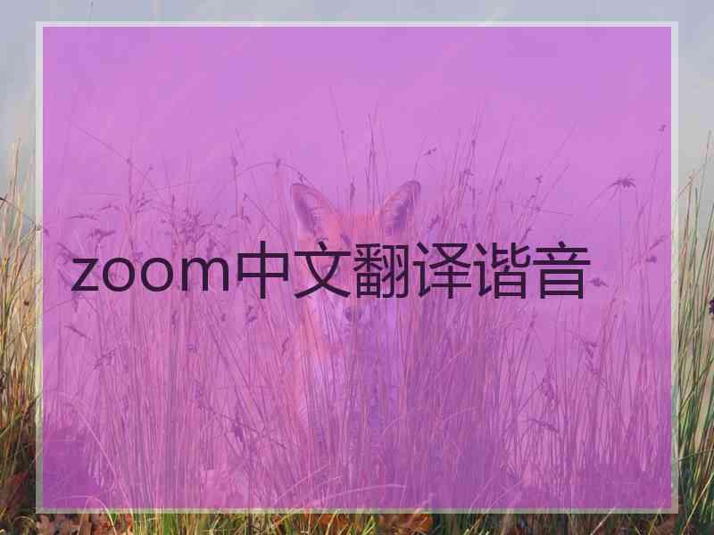 zoom中文翻译谐音