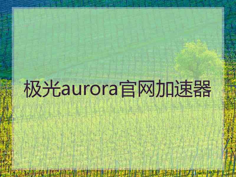 极光aurora官网加速器