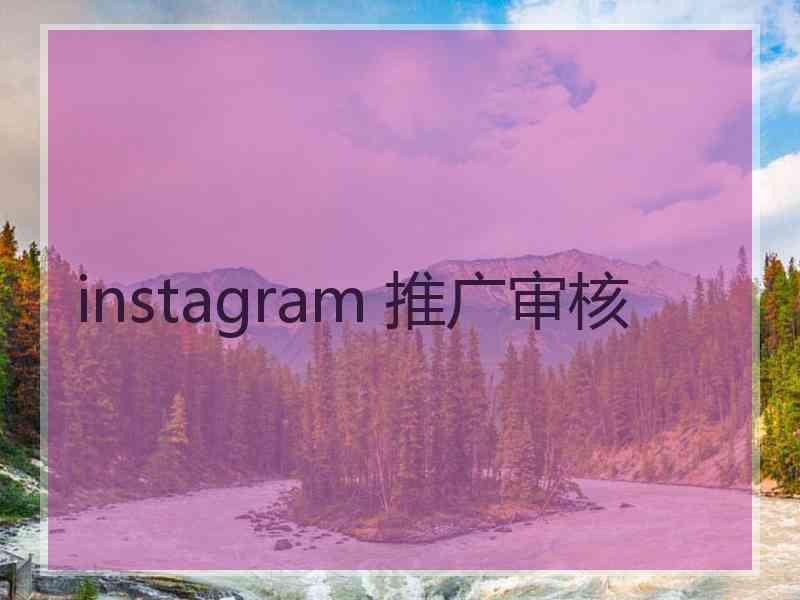 instagram 推广审核