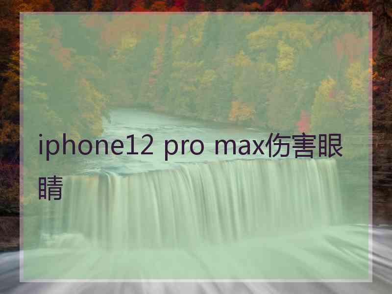 iphone12 pro max伤害眼睛