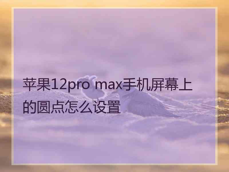 苹果12pro max手机屏幕上的圆点怎么设置