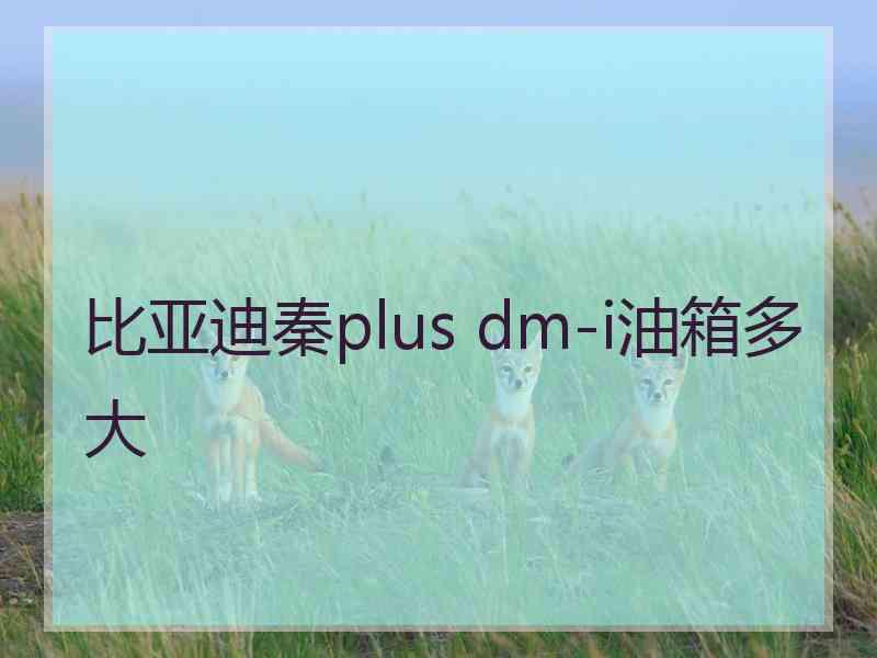 比亚迪秦plus dm-i油箱多大