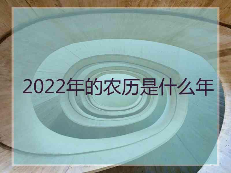 2022年的农历是什么年